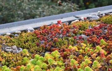 the cost of Flowers Green green roof installation