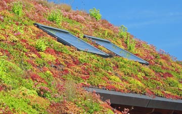 Flowers Green living roof systems