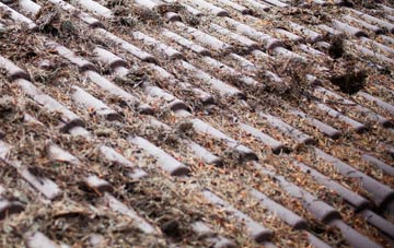 Flowers Green roof cleaning companies