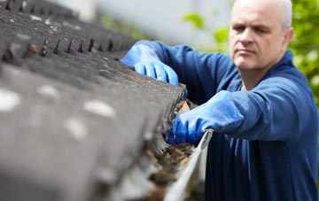 cleaning and inspecting Flowers Green roofs