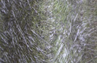 Flowers Green fibreglass roof work